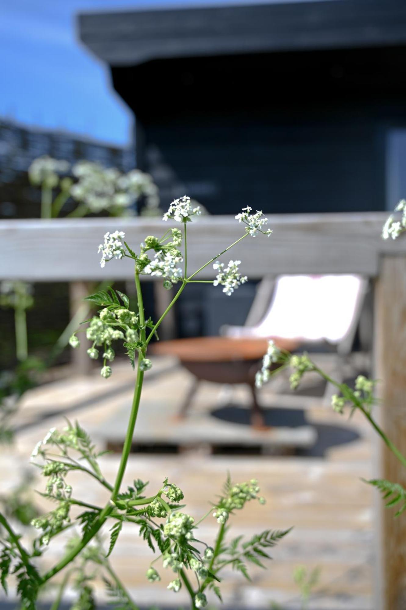 Hotel The Hut - A Shepherd'S Hut On Our Family Farm In Warwickshire Evesham Exterior foto